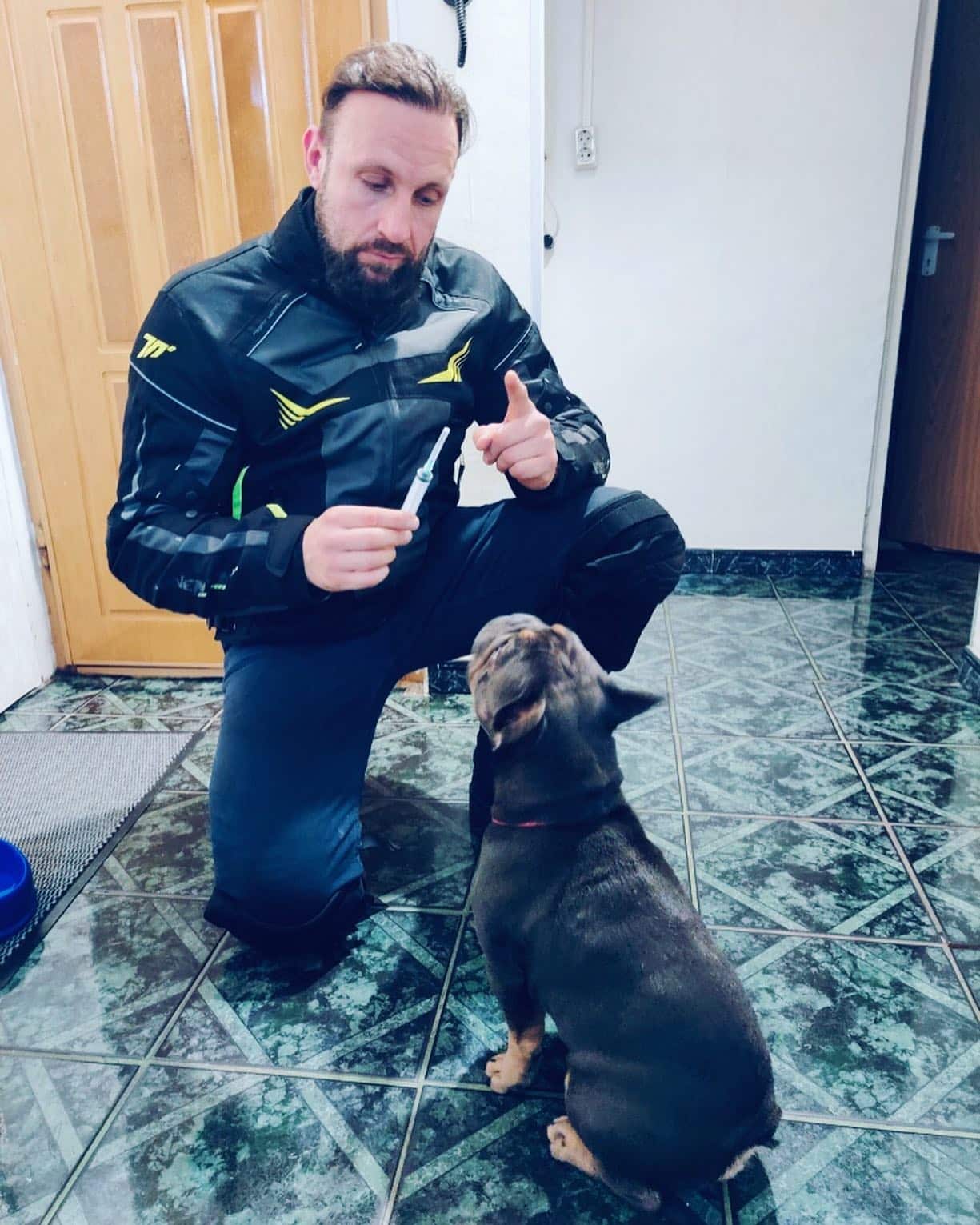 veterinar la domicilu