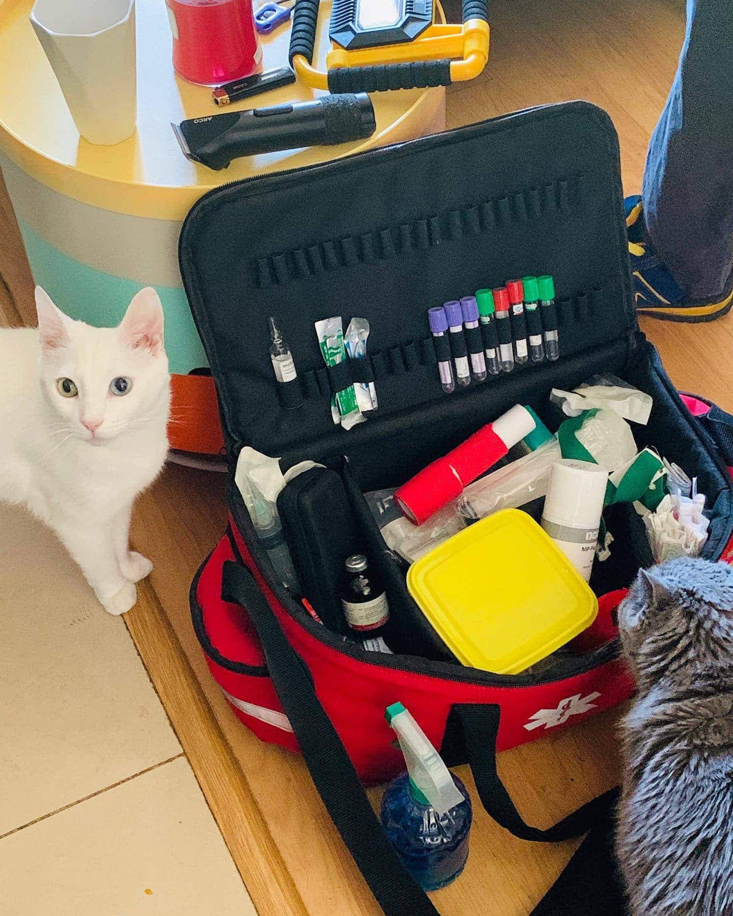 veterinar la domicilu