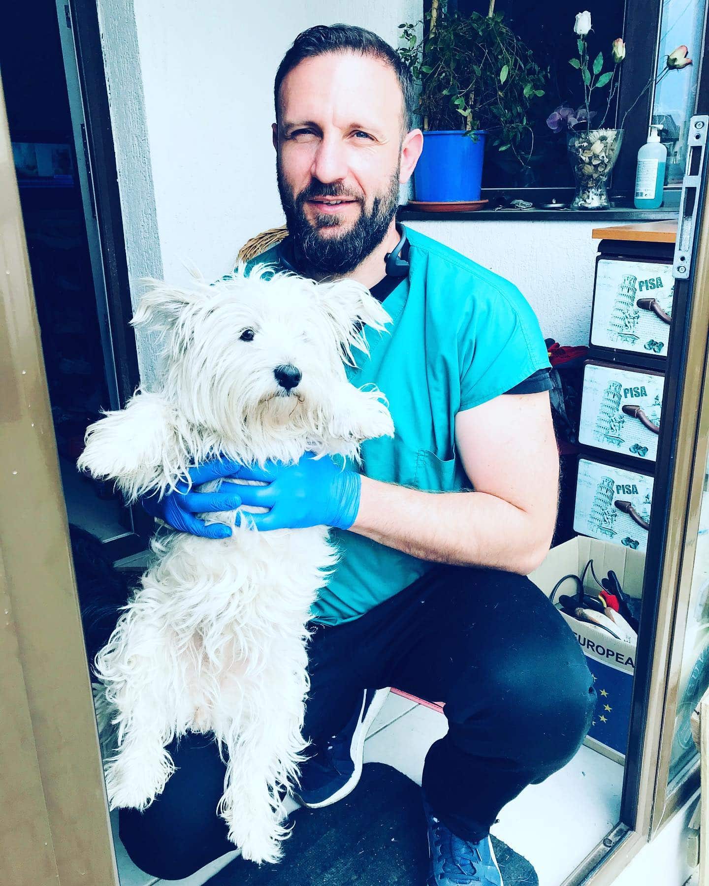 veterinar la domicilu
